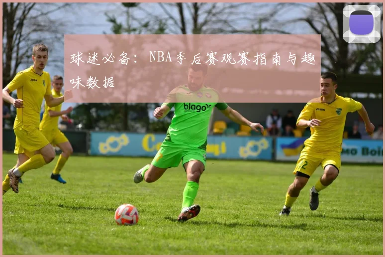球迷必备：NBA季后赛观赛指南与趣味数据