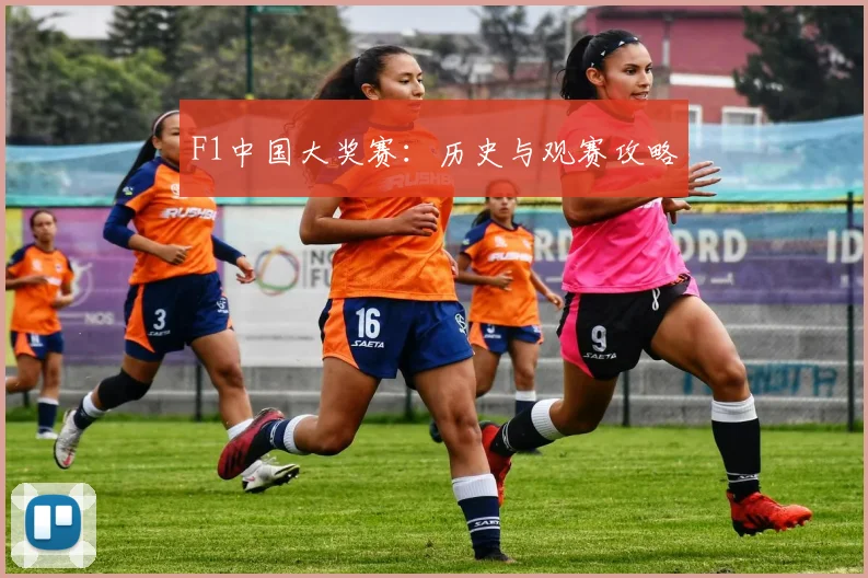F1中国大奖赛：历史与观赛攻略